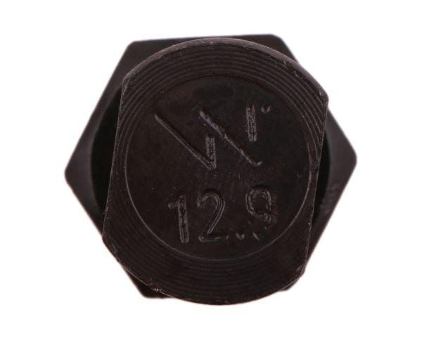 W-255121240