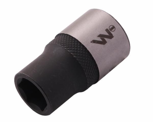 WMN018