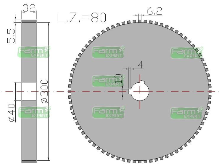 Koło zapadkowe zęby proste wpust 10 Rozrzutnik 2213040010 7032040091 2