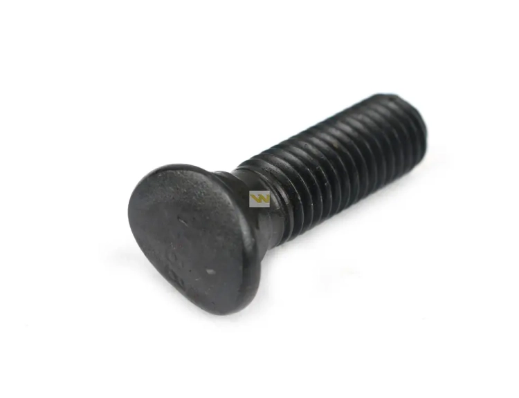 W-243881035-KG_0.webp
