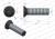 W-173121240-KG.webp