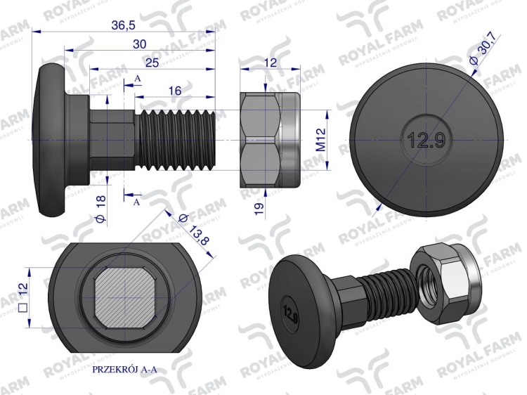 Śruba nożyka kpl. M12x37 Stoll Vicon 1374593 ROYAL FARM 2