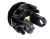 WR213750_0.jpg
