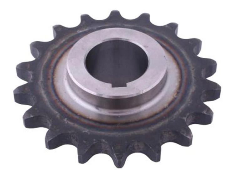 W-H5040020230