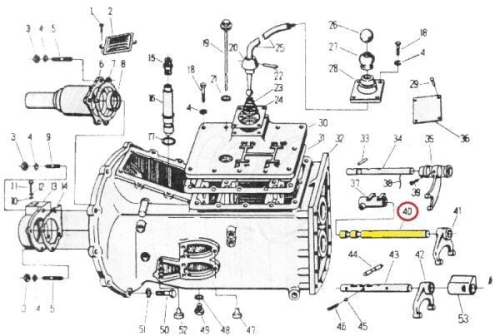 50011381