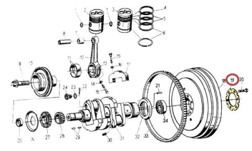 50102460
