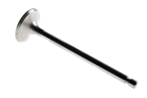 50505051