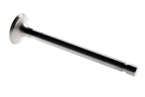 50505061