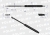 CA287636P